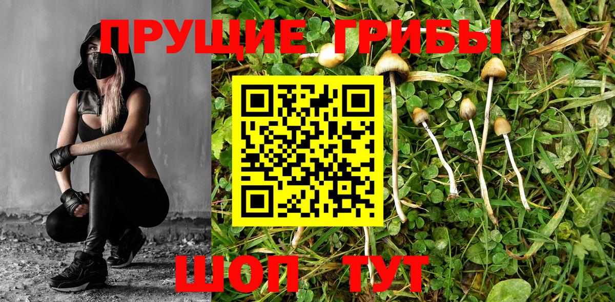 Псилоцибиновые грибы GOLDEN TEACHER  Вход с VPN  дарнет шоп  Кстово 